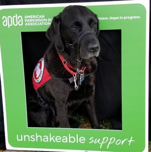 Fundraising Page: Kelli Heimerl